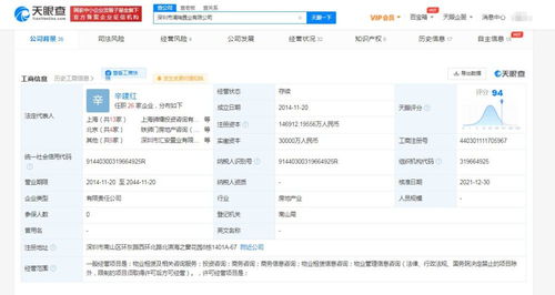商务信息咨询的核心价值与企业应用