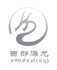 重庆商务咨询行业的新势力 海硕商务信息咨询的崛起与发展